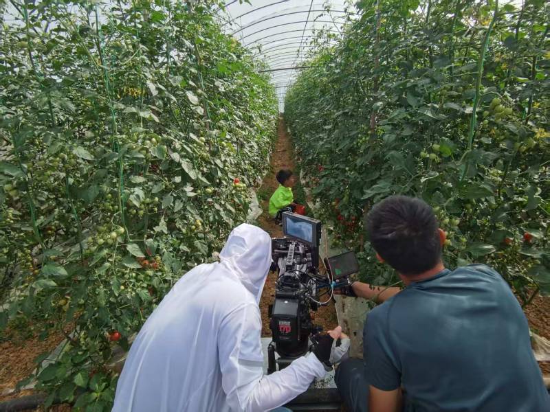 崇左产品宣传视频拍摄公司进阶指南，助力品牌抢占传播高地